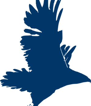 blue falcon icon